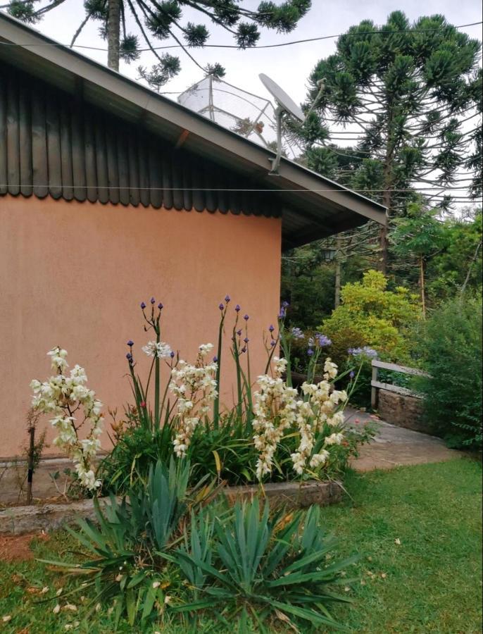 Casa Em Campos Do Jordao - 3 Quartos, Com Churrasqueira Exterior foto